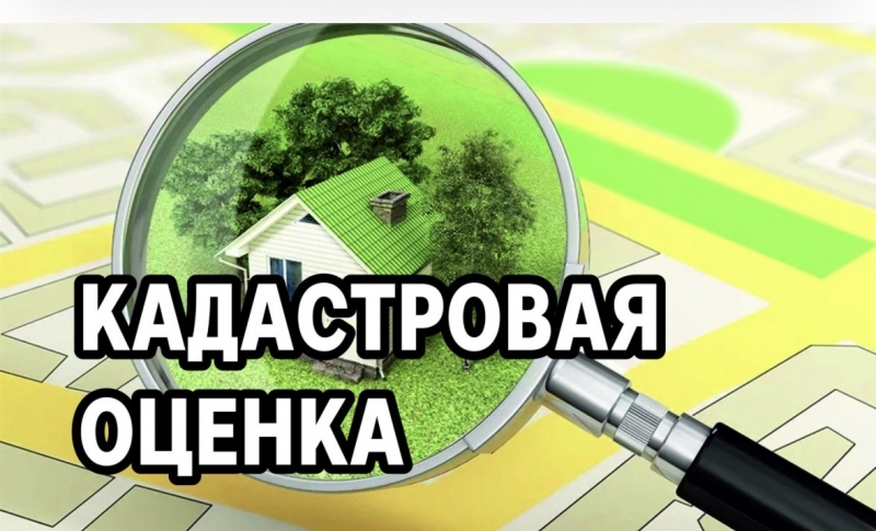 В Подмосковье опубликованы предварительные итоги государственной кадастровой оценки земельных участков