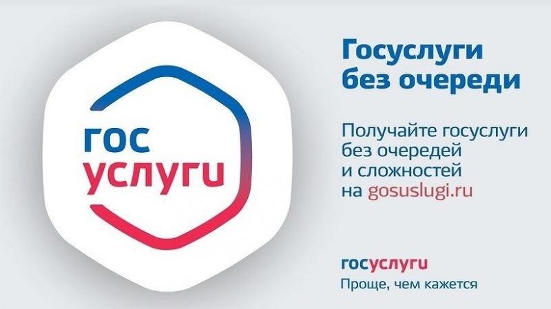 Жителям Подмосковья напомнили, как подтвердить учетную запись ЕСИА без посещения МФЦ