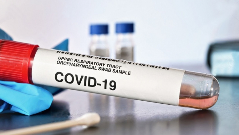 Более 165 человек вылечились от Covid-19 в Подмосковье за сутки