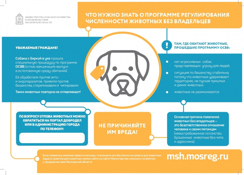 Важная информация (программа регулирования численности животных без владельцев)