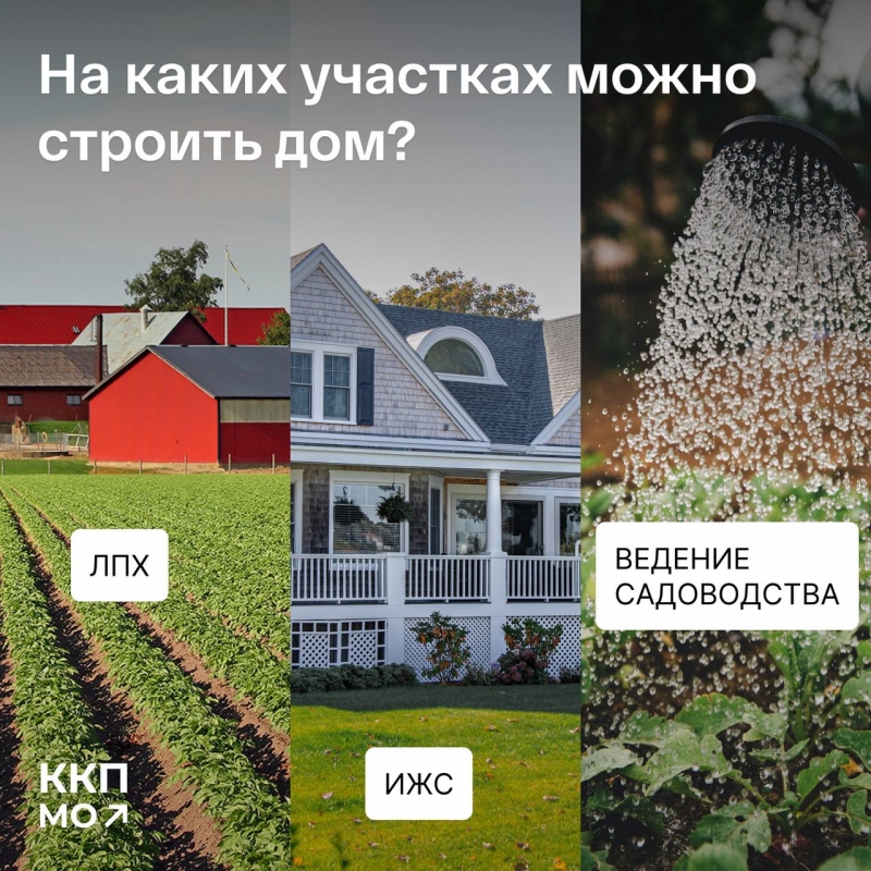 Какие участки можно приобрести на торгах для строительства дома