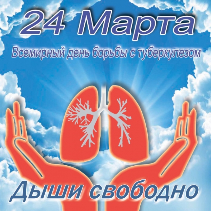 Проведение Всероссийской 