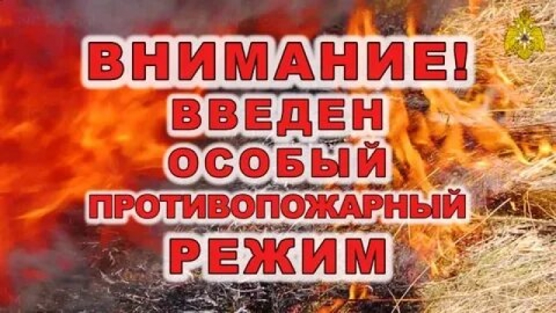 На территории Подмосковья введен особый противопожарный режим