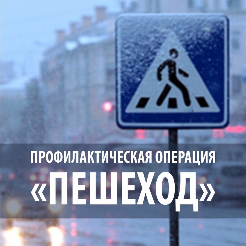 Госавтоинспекция информирует о проведении  оперативно-профилактического мероприятия «Пешеход»  в феврале 2021 года