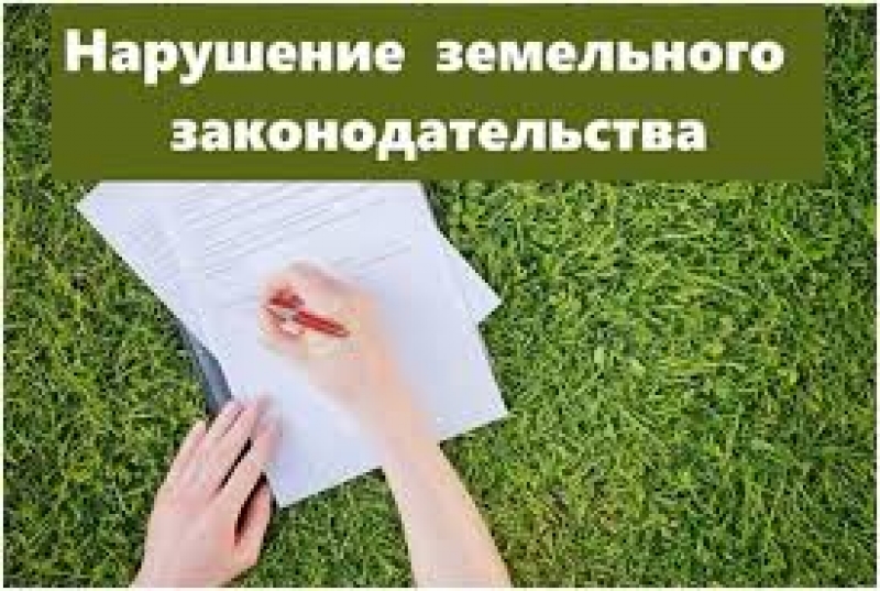 Фильм о муниципальном земельном контроле в Московской области «Все под контролем»
