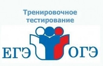 Тренировочное тестирование ОГЭ, ЕГЭ