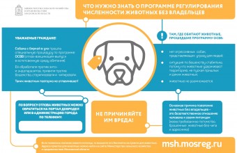 Что нужно знать о программе регулирования численности животных без владельцев