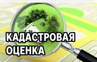 В Подмосковье опубликованы предварительные итоги государственной кадастровой оценки земельных участков