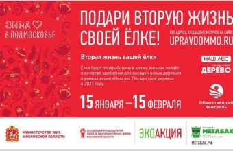 Двести пунктов приема елок организуют в Подмосковье в рамках эко-акции