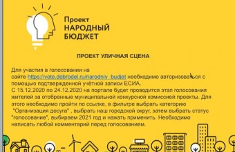 На портале «Добродел» с 15 по 24 декабря проходит голосование за проекты, планируемые к реализации в 2021 году в рамках практики инициативного бюджетирования.