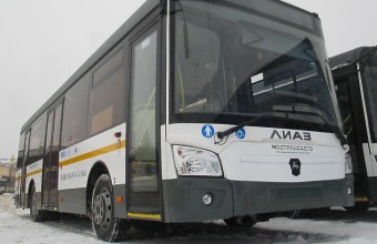 Жителям Подмосковья рассказали, как правильно провезти елку в общественном транспорте