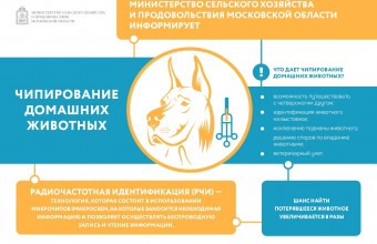 Министерство сельского хозяйства области информирует о чипировании домашних животных
