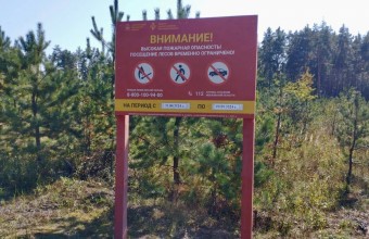 С 6 по 12 сентября введены ограничения на пребывание в лесах на всей территории гослесфонда Подмосковья