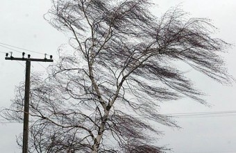 В Молодёжном напомнили о мерах безопасности при штормовом ветре