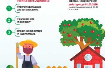 Дачная амнистия