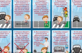 Основные правила безопасного поведения на дороге