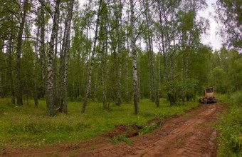 Более 260 километров лесных дорог прочищено и обустроено в лесах Подмосковья