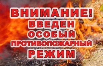 На территории Подмосковья введен особый противопожарный режим