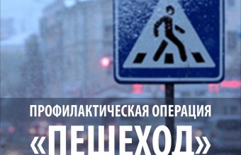 Госавтоинспекция информирует о проведении  оперативно-профилактического мероприятия «Пешеход»  в феврале 2021 года