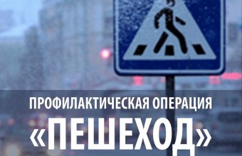 Итоги проведения профилактического мероприятия «Пешеходный переход»