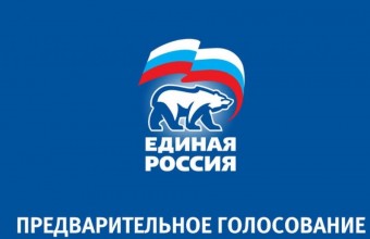Стартовало предварительное голосование 