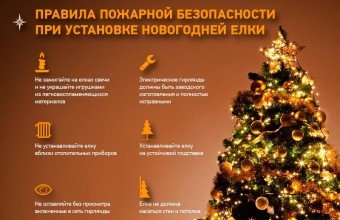 Правила пожарной безопасности во время Новогодних праздников