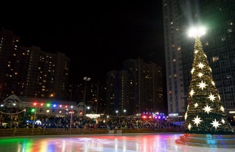 Более 1 тыс. елок появятся в общественных местах и дворах Московской области