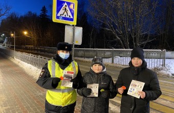 Госавтоинспекция подвела итоги проведения  оперативно - профилактического мероприятия  «Пешеходный переход» в декабре 2021 года