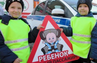Госавтоинспекция подвела итоги проведения профилактического мероприятия «Ребенок-пассажир, пешеход» в ноябре 2021 года