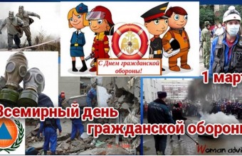 Информационные материалы по Международной организации гражданской обороны (МОГО)