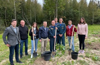 Саженцы клёна высадили в Молодёжном в рамках экологической акции «Наш лес. Посади свое дерево»